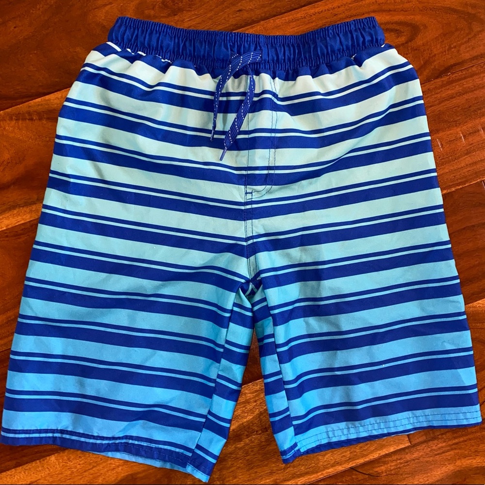 EUC Boys Size Large, Sea-Life Co. Blue Ombre & Stripes & Mesh Liner Swim Trunks